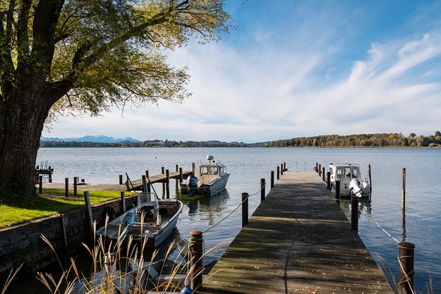 全运会乒乓球资格赛：3月21日赛程公布！林高远出战王楚.